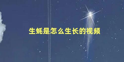 生蚝是怎么生长的视频
