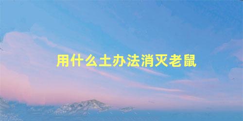 用什么土办法消灭老鼠