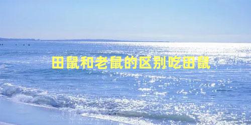 田鼠和老鼠的区别吃田鼠