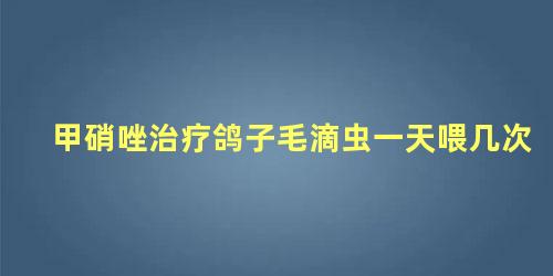 甲硝唑治疗鸽子毛滴虫一天喂几次