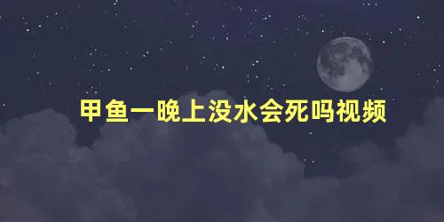 甲鱼一晚上没水会死吗视频