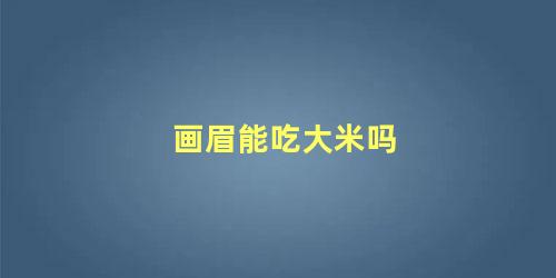 画眉能吃大米吗