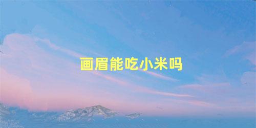 画眉能吃小米吗