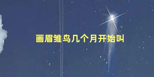 画眉雏鸟几个月开始叫