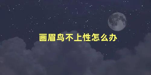 画眉鸟不上性怎么办