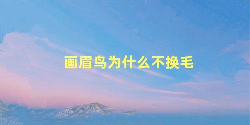 画眉鸟为什么不换毛