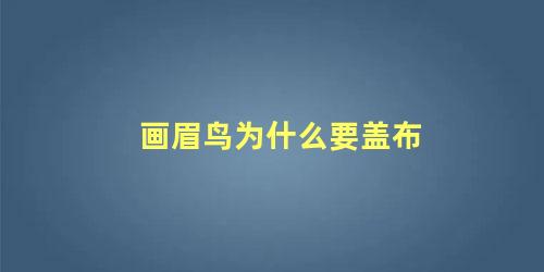 画眉鸟为什么要盖布