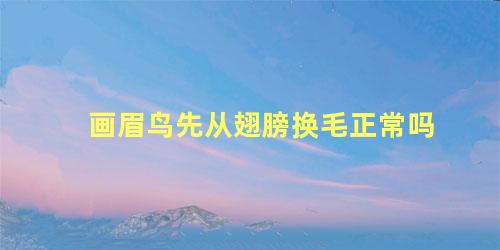 画眉鸟先从翅膀换毛正常吗