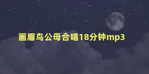 画眉鸟公母合唱18分钟mp3
