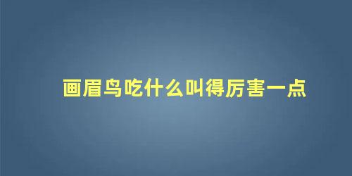 画眉鸟吃什么叫得厉害一点