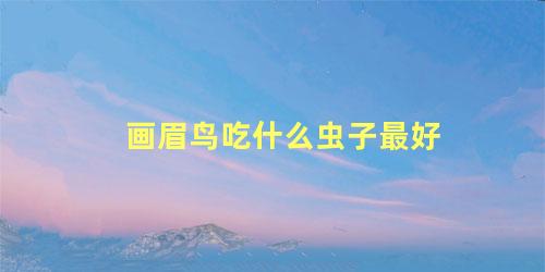 画眉鸟吃什么虫子最好