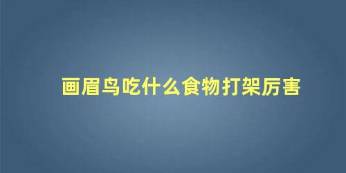 画眉鸟吃什么食物打架厉害