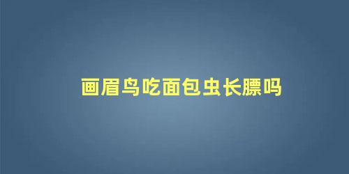 画眉鸟吃面包虫长膘吗