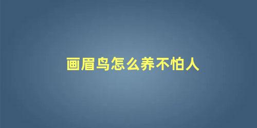 画眉鸟怎么养不怕人