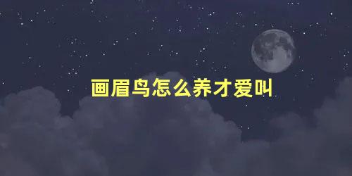 画眉鸟怎么养才爱叫