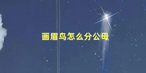 画眉鸟怎么分公母