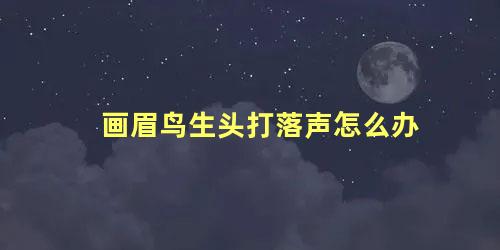 画眉鸟生头打落声怎么办