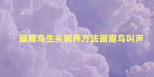画眉鸟生头驯养方法画眉鸟叫声