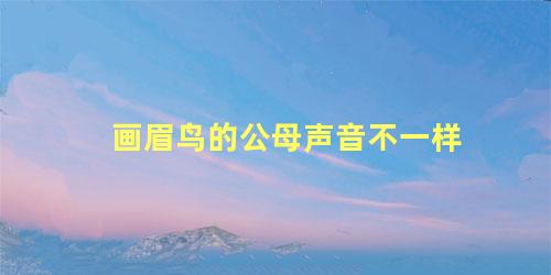 画眉鸟的公母声音不一样