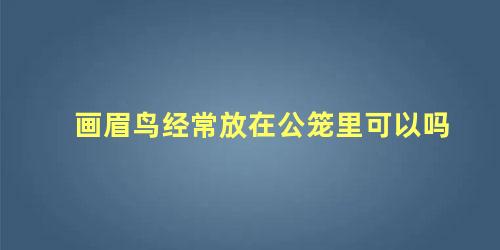 画眉鸟经常放在公笼里可以吗