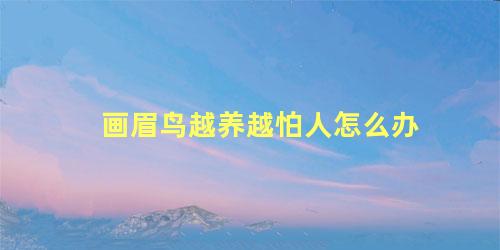 画眉鸟越养越怕人怎么办