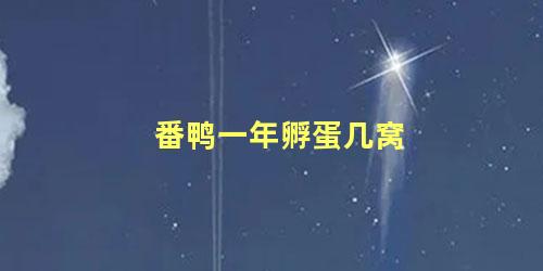 番鸭一年孵蛋几窝