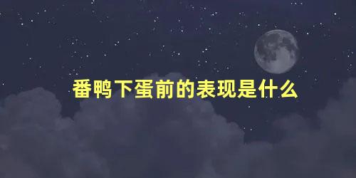 番鸭下蛋前的表现是什么