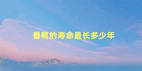 番鸭的寿命最长多少年