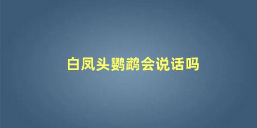 白凤头鹦鹉会说话吗