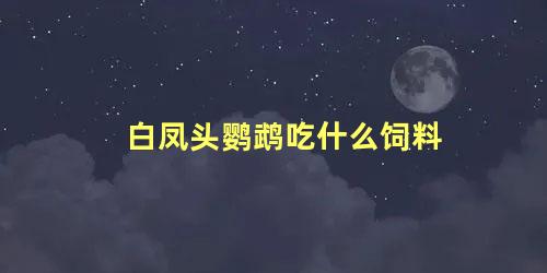 白凤头鹦鹉吃什么饲料