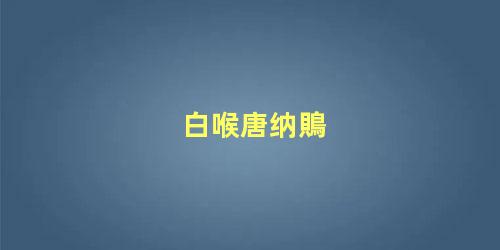 白喉唐纳鵙