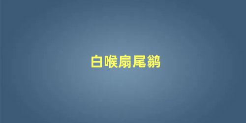 白喉扇尾鹟