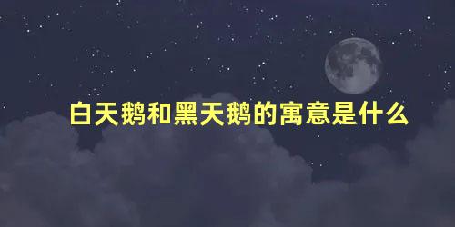 白天鹅和黑天鹅的寓意是什么