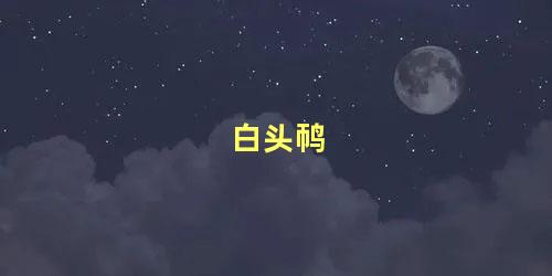白头䴓