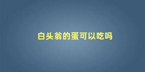 白头翁的蛋可以吃吗