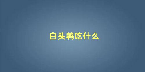白头鹎吃什么