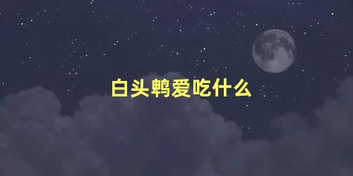 白头鹎爱吃什么