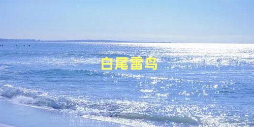 白尾雷鸟