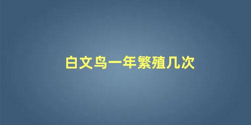 白文鸟一年繁殖几次