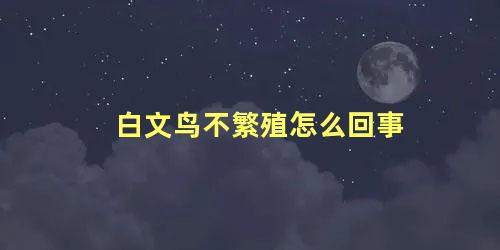 白文鸟不繁殖怎么回事