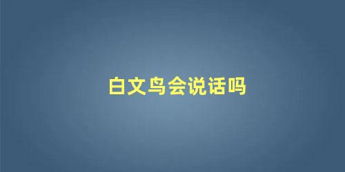 白文鸟会说话吗