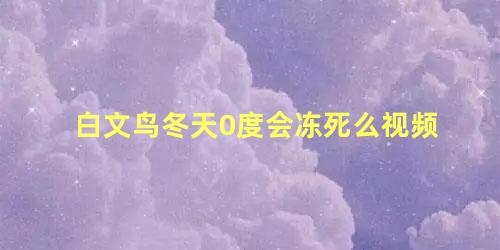 白文鸟冬天0度会冻死么视频