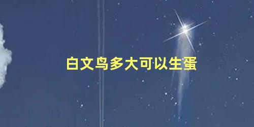 白文鸟多大可以生蛋
