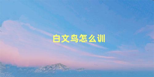 白文鸟怎么训