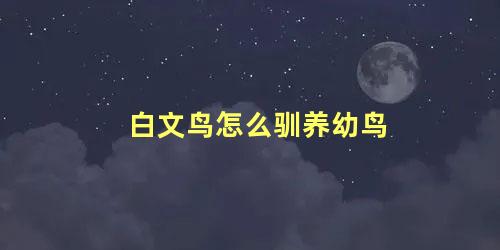 白文鸟怎么驯养幼鸟