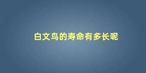 白文鸟的寿命有多长呢