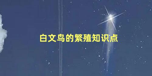 白文鸟的繁殖知识点