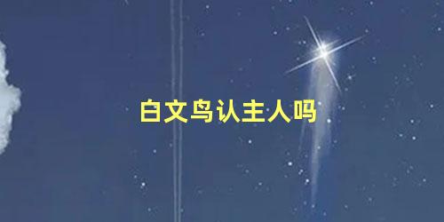 白文鸟认主人吗