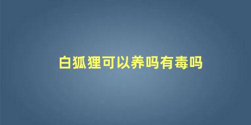 白狐狸可以养吗有毒吗
