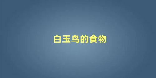 白玉鸟的食物